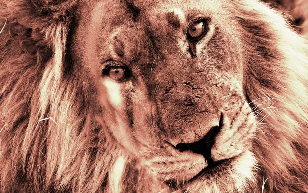 Das Evangelium ist schön, kraftvoll und skandalös – oder nichts davon.